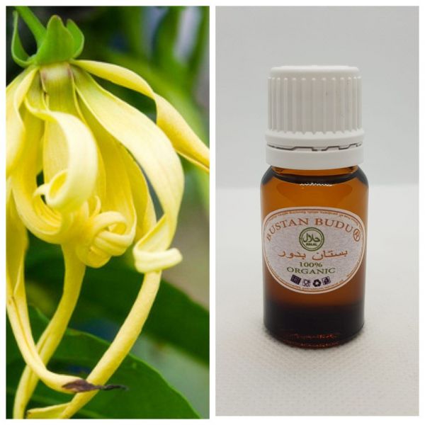 70 Essential oil Ylang-Ylang Cananga odorata, 10 ml